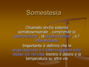Meccanocezione e Propriocezione