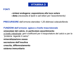 2 D 3 Vit D 3