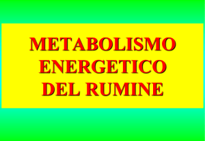 Presentazione di PowerPoint - Progetto e