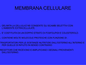 membrana cellulare