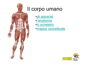 Il-corpo-umano