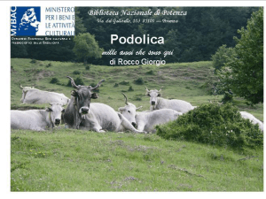 Diapositiva 1 - SSA Basilicata
