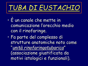 Tuba di Eustachio