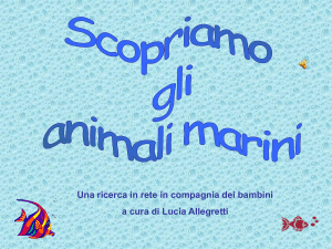 Dalle nomenclature alla ricerca in rete: gli animali marini