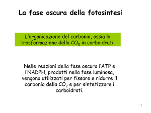 lezioni 13 - e