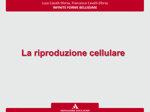 Diapositiva 1 - Mondadori Education