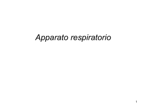 Apparato respiratorio extra I parte File