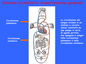 3. Apparato cardiocircolatorio
