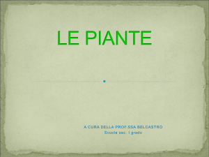 le piante - Share Dschola