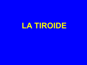 Tiroide e Paratiroidi