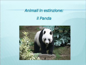 Diapositiva 1 - Scuola Media di Piancavallo