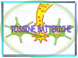 n.6 Tossine batteriche