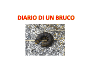 Diapositiva 1 - Share Dschola