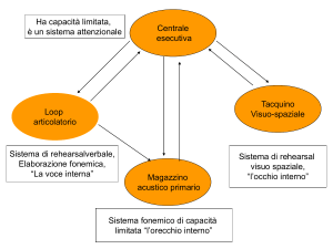 Diapositiva 1 - IHMC Public Cmaps (3)