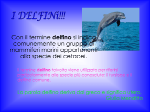 i delfini