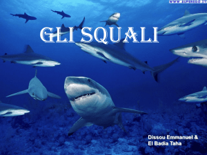 Gli Squali