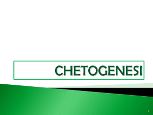 La chetogenesi (1) - Facoltà di Medicina e Chirurgia