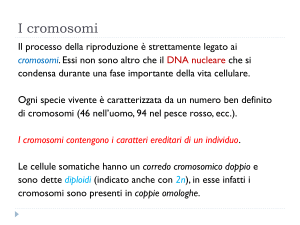 La riproduzione