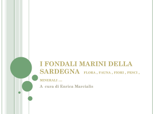 I FONDALI MARINI DELLA SARDEGNA flora
