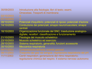 Nessun titolo diapositiva