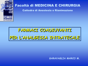farmaci coadiuvanti per l`analgesia intratecale