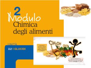 i_glucidi_powerpoint