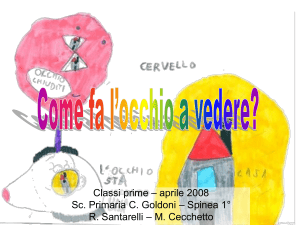Come fa l`occhio a vedere? - Istituto Comprensivo Spinea 1