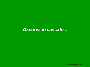 Observe o riacho - ilmioarchiviovirtuale.it