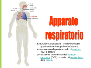 Diapositiva 1 - Atuttascuola