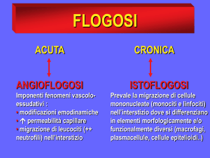 farmaci3.1