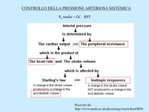 NEL CONTROLLO DELLA PRESSIONE