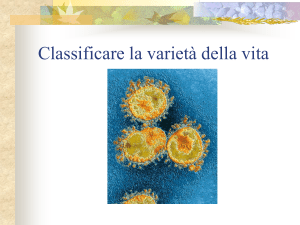 Classificare la varietà della vita