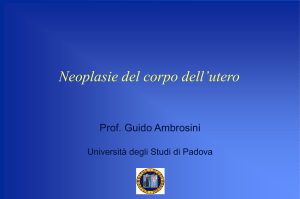 Diapositiva 1