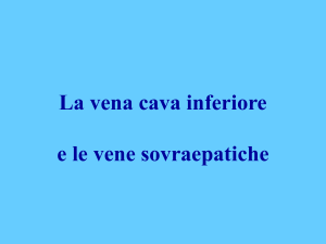 Nessun titolo diapositiva