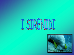 i sirenidi