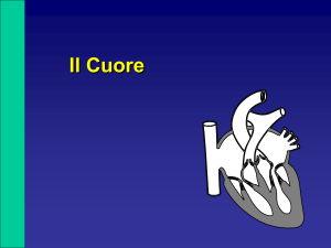 Il Cuore-Accoppiamento eccitamento