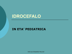 idrocefalo - PediatriaMuccioli