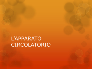 L`APPARATO CIRCOLATORIO