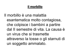 il morbillo - IHMC Public Cmaps (2)
