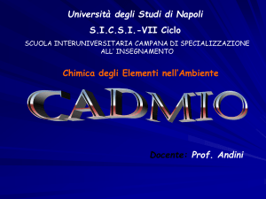 cadmio - Docenti.unina