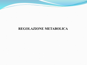 Presentazione di PowerPoint - Progetto e
