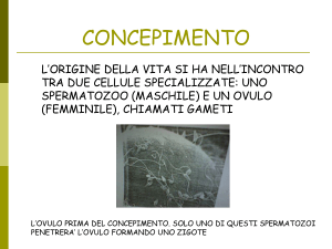 Fase Prenatale