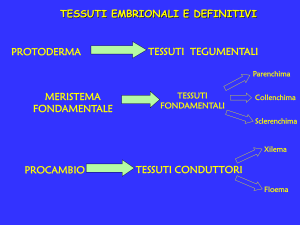 Diapositiva 1 - Docenti.unina