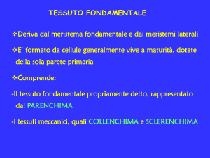 Diapositiva 1 - Docenti.unina