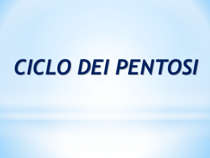 Diapositiva 1 - Progetto e