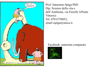 Diapositiva 1 - I blog di Unica