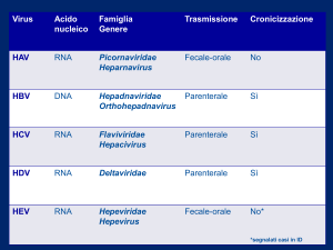 HBV - Omero
