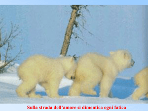 Nessun titolo diapositiva