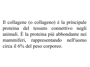 Presentazione di PowerPoint