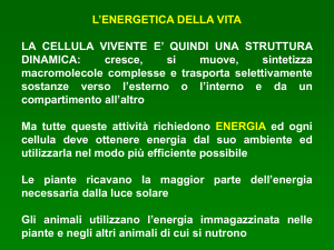 3._RICHIAMI_DI_BIOENERGETICA